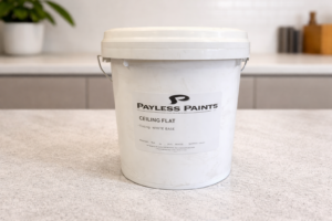 Ceiling Paint White